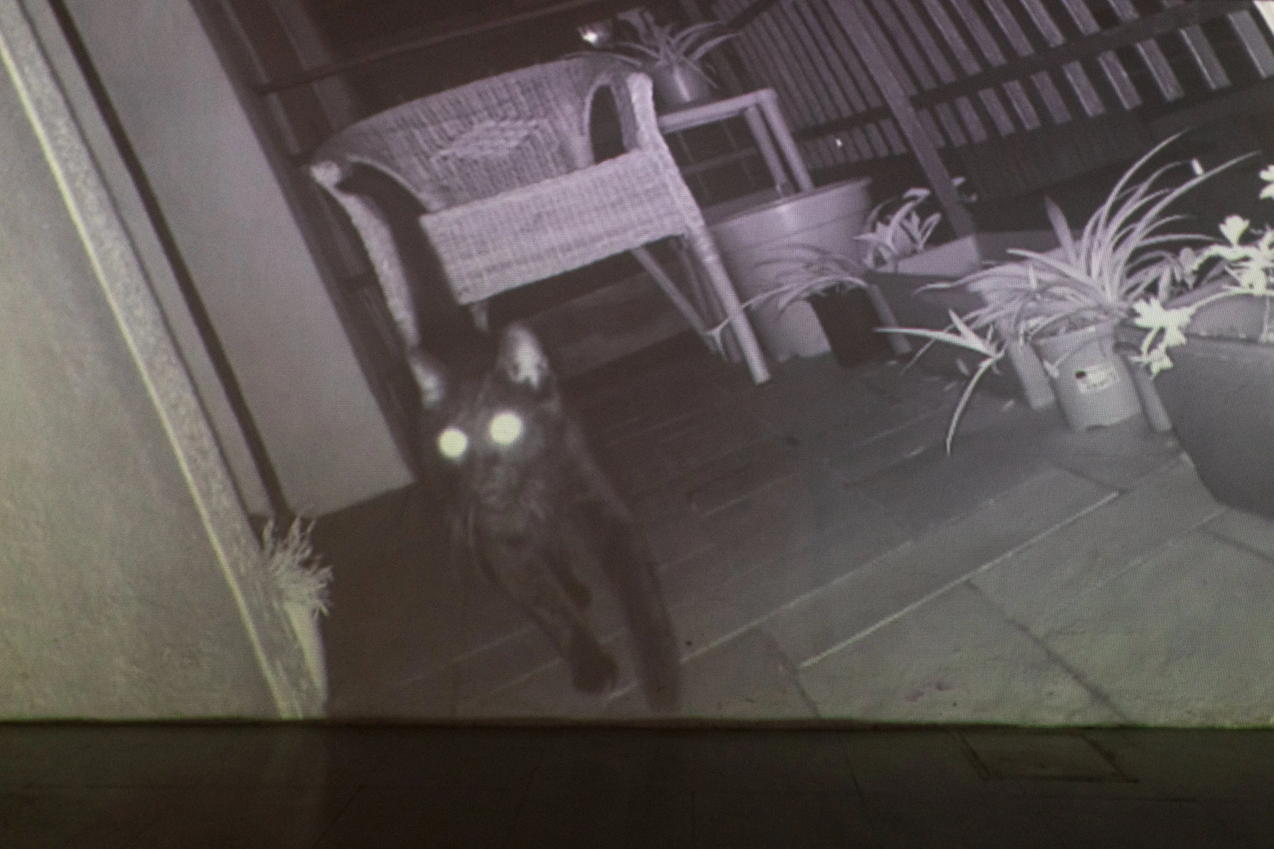 R.A.R.O On-Site Projects