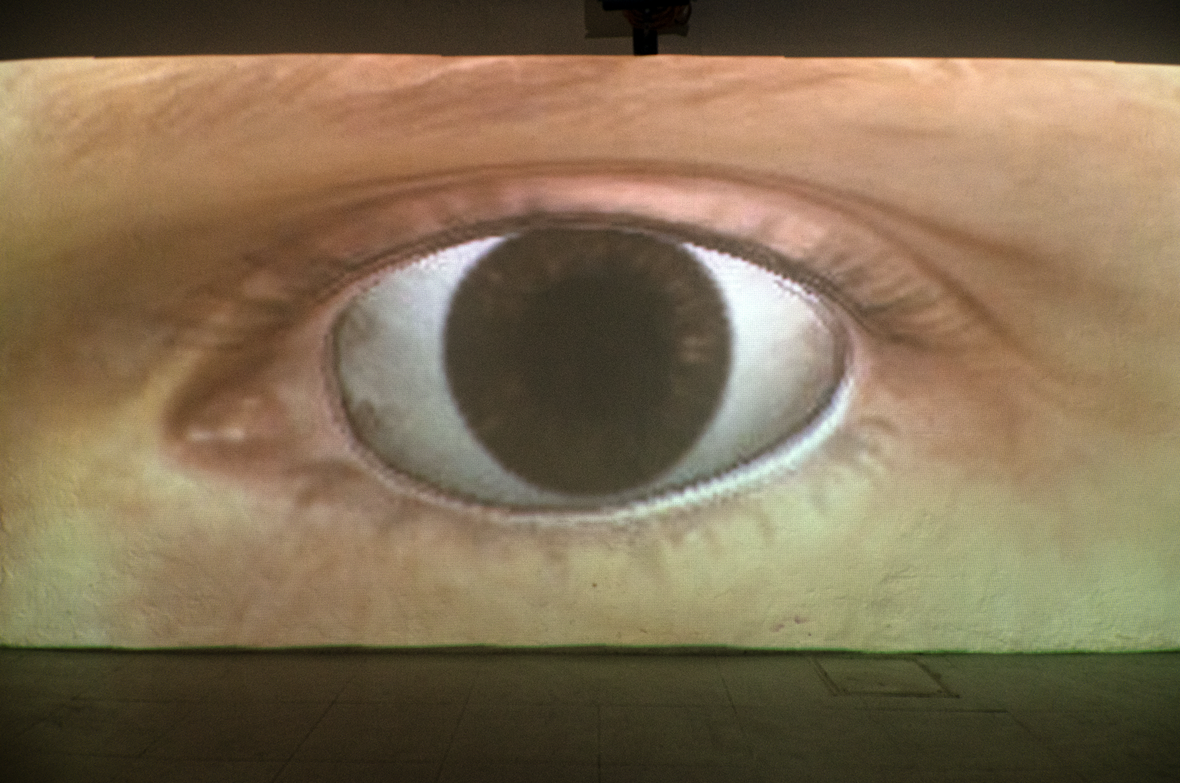 R.A.R.O On-Site Projects