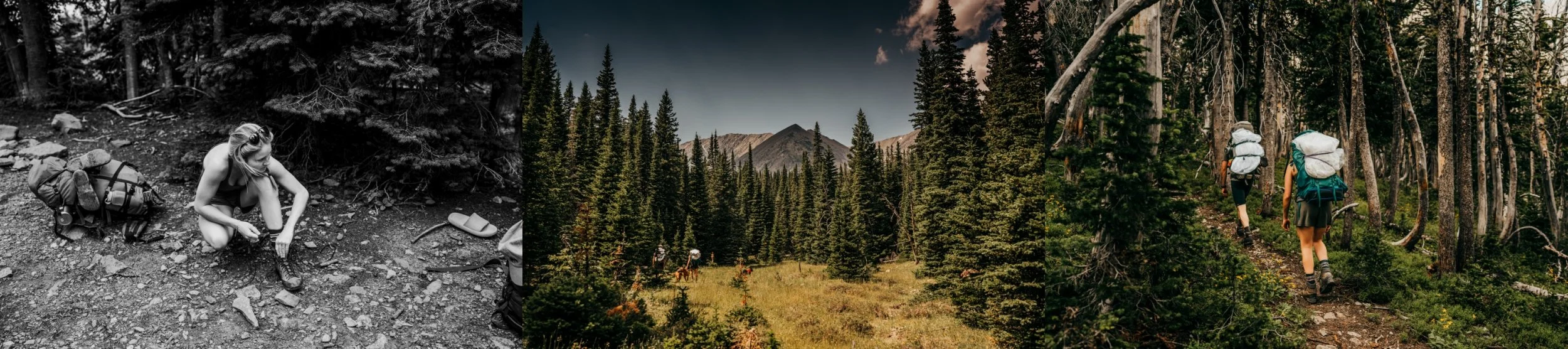 2024_July 19th_Kade and Addie Elopement Crazy Mtns-2.jpg