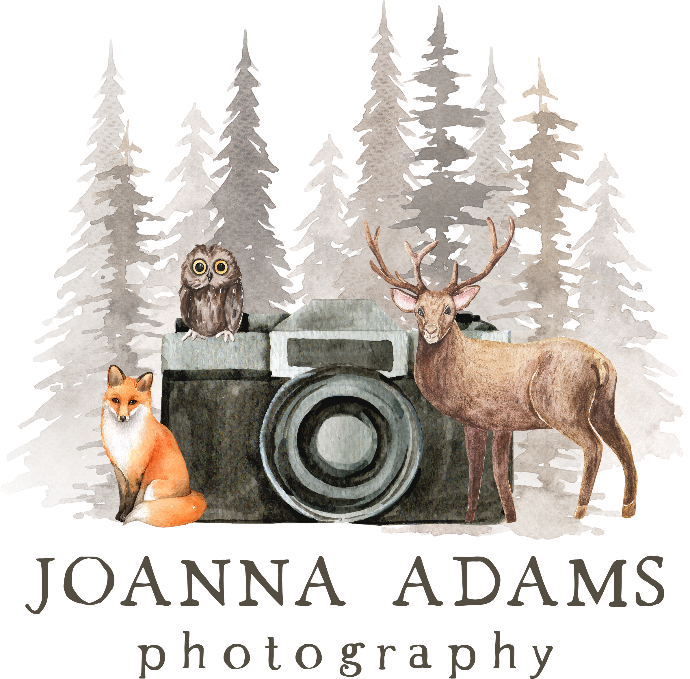 Joanna Adams Photography