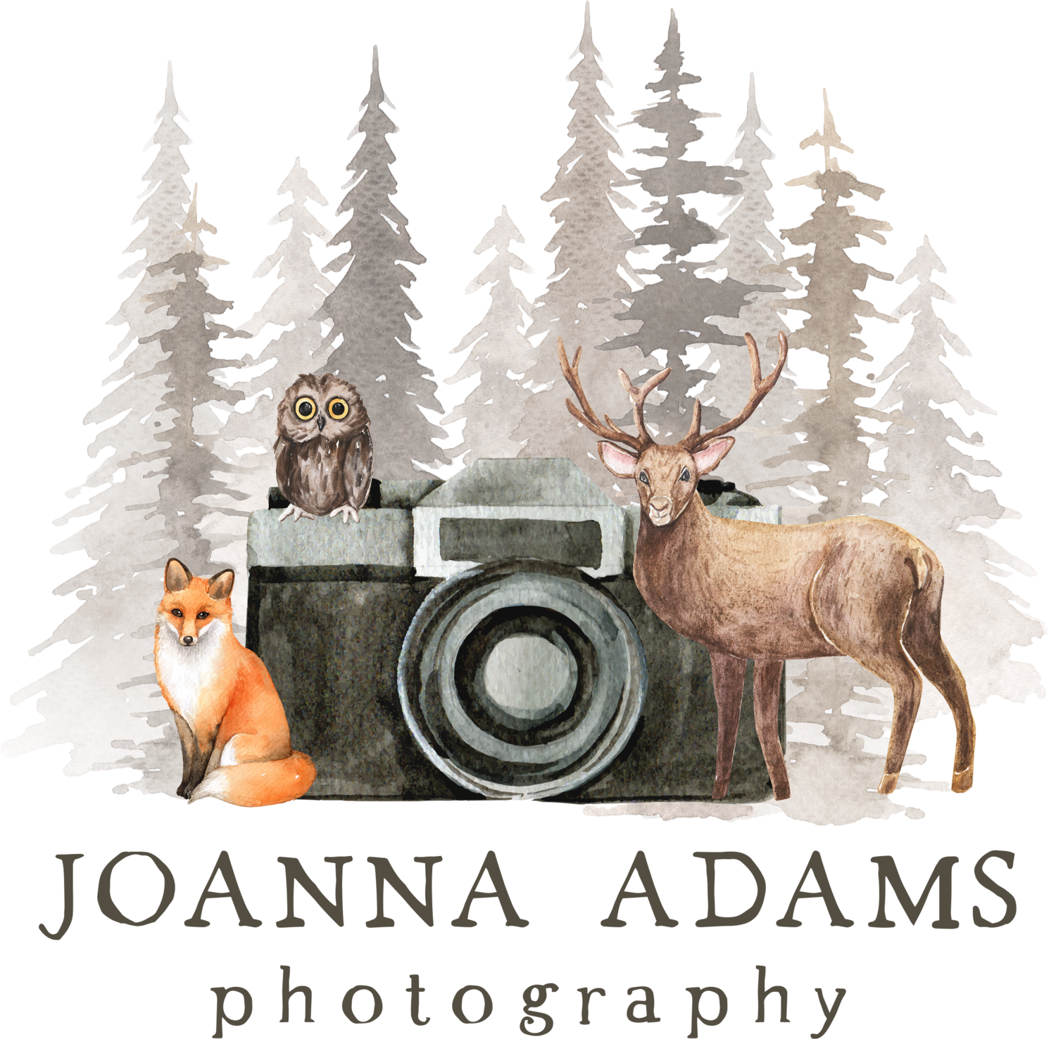 Joanna Adams Photography