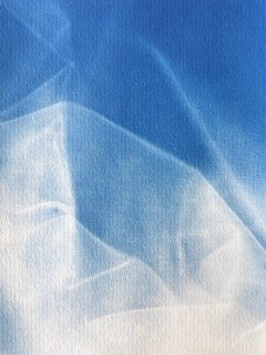 IMG_4432 Small.jpeg