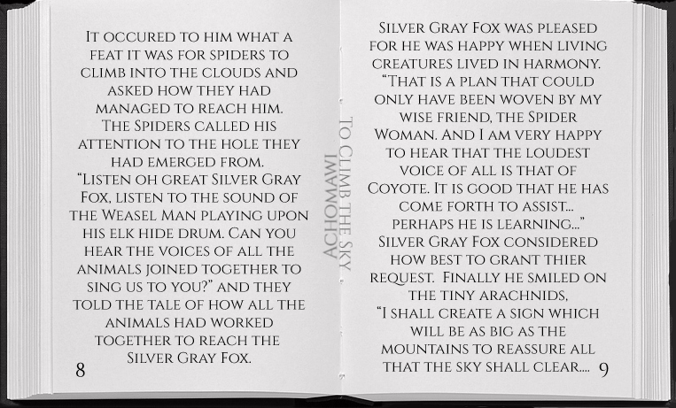SL story climb the sky pg 8_9a gray correcteda.jpg