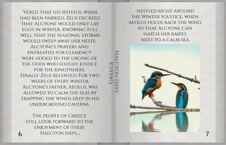 SL story book Halcyon pg6_7a.jpg