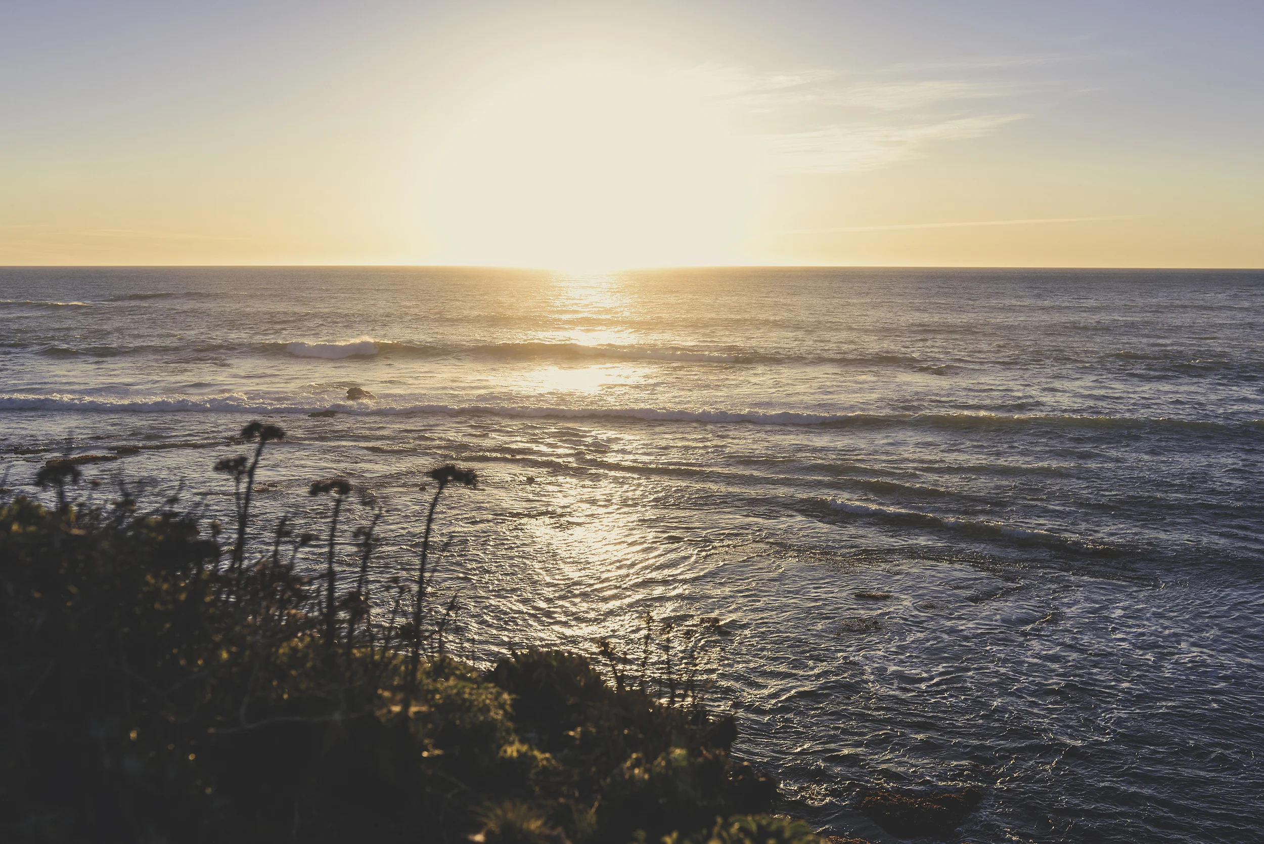 losaltos_beach_1resize.jpg