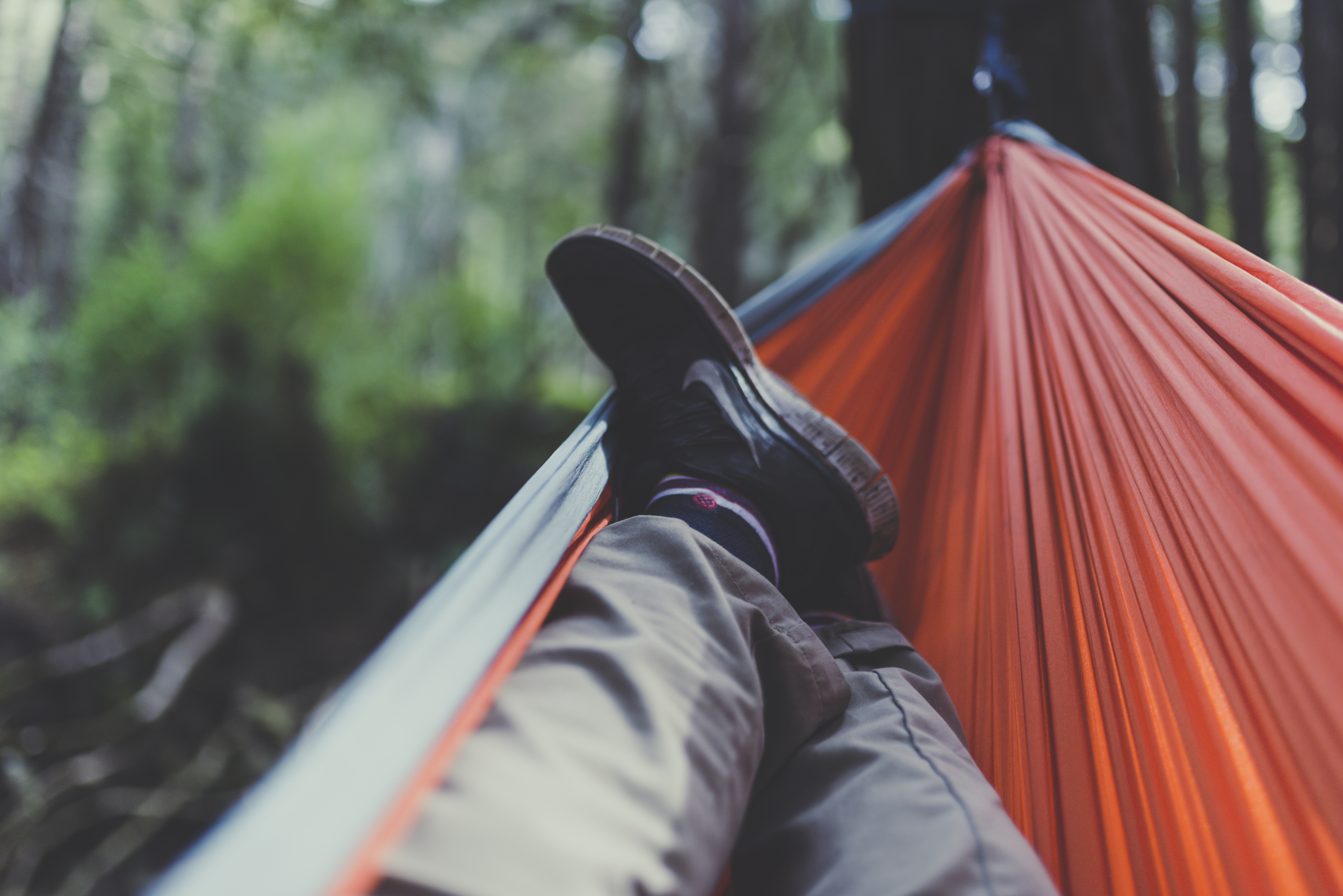 BigSur_Chilling_1.jpg