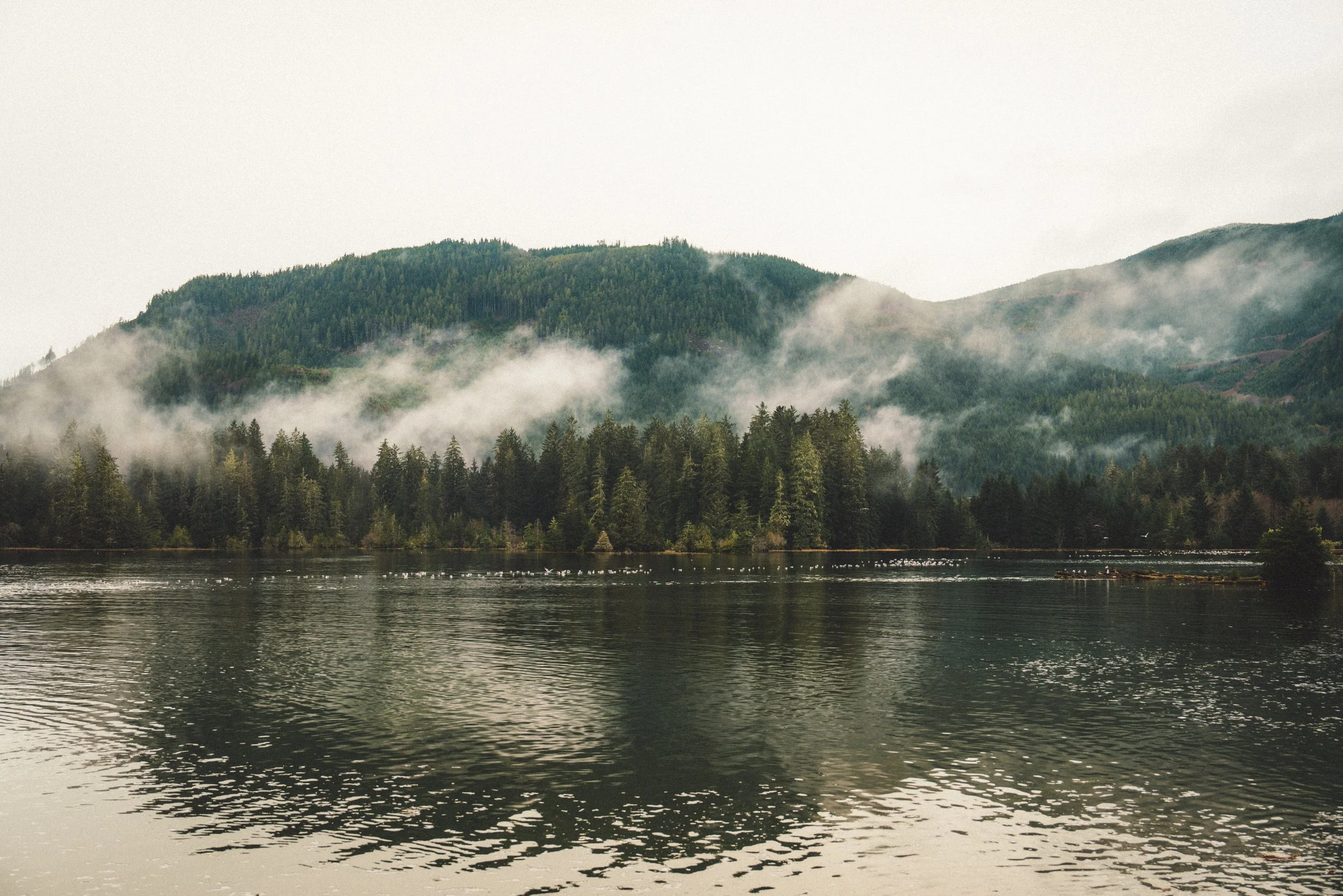 SHOULDER SEASON ON THE ISLAND: SLOW MORNINGS, WET ROADS, AND THE MAGIC OF FALL