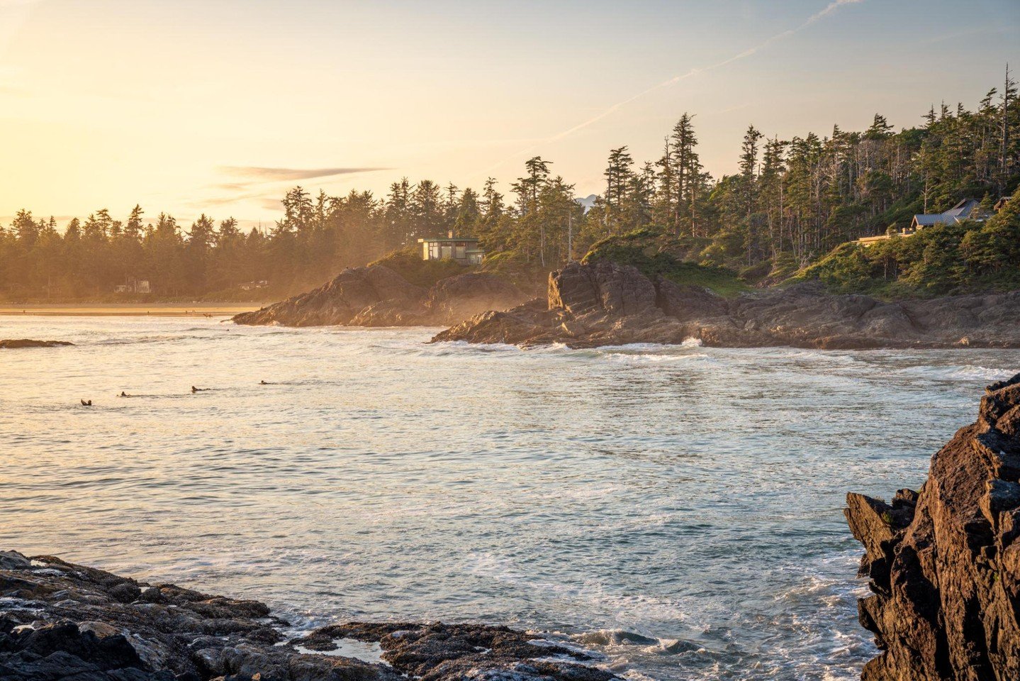 🏔️ West Coast Getaway calls for rugged coastlines, old-growth forest vibes, and Westy panoramas through Tofino &amp; beyond.
🌲 Best pit stop: Clayoquot Plateau &mdash; legendary for forest feels and epic views.
📌 Tip: Book parks early + pack layer