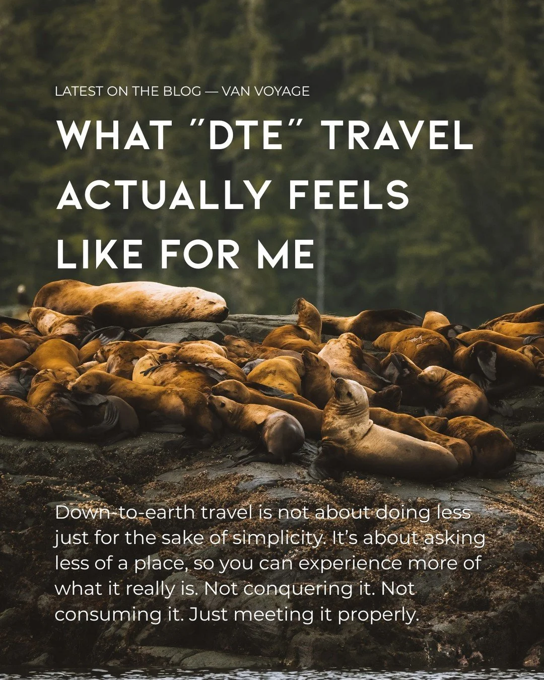 &ldquo;Down To Earth travel&rdquo; isn&rsquo;t a checklist.
ㅤ
It&rsquo;s that first slow morning coffee with the van door open.
Salt in the air. No rush. Nowhere you *have* to be.
ㅤ
It&rsquo;s taking the long way &mdash; because it just feels right.
