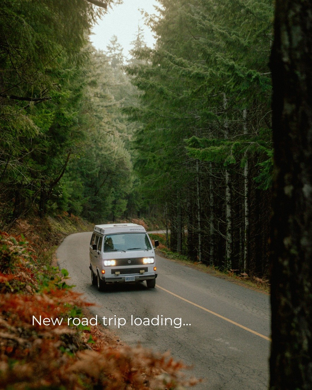 &ldquo;Vancouver Island has legendary road trip route&hellip; 👀&rdquo;
ㅤ
And yeah&hellip; this one&rsquo;s worth knowing about.
ㅤ
The Spirit Loop is a reimagined version of our 'South Coast' route, built around slowing down, finding the good spots, 