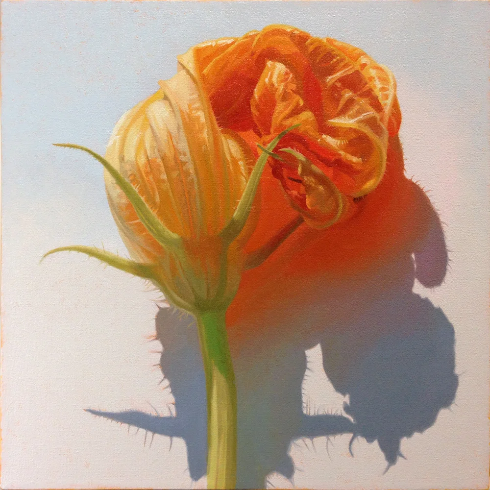 15 Squash blossom series - 15  72-1000.jpg
