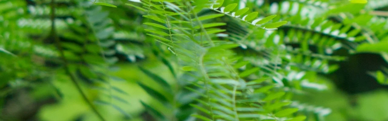 slideshow_1.jpg