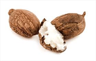 Shea Butter