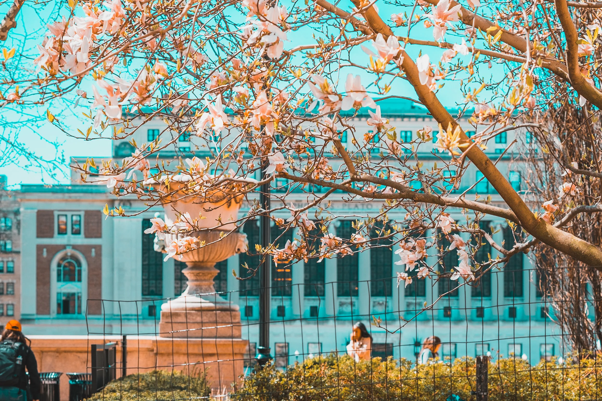 Beto attended Columbia University in New York City