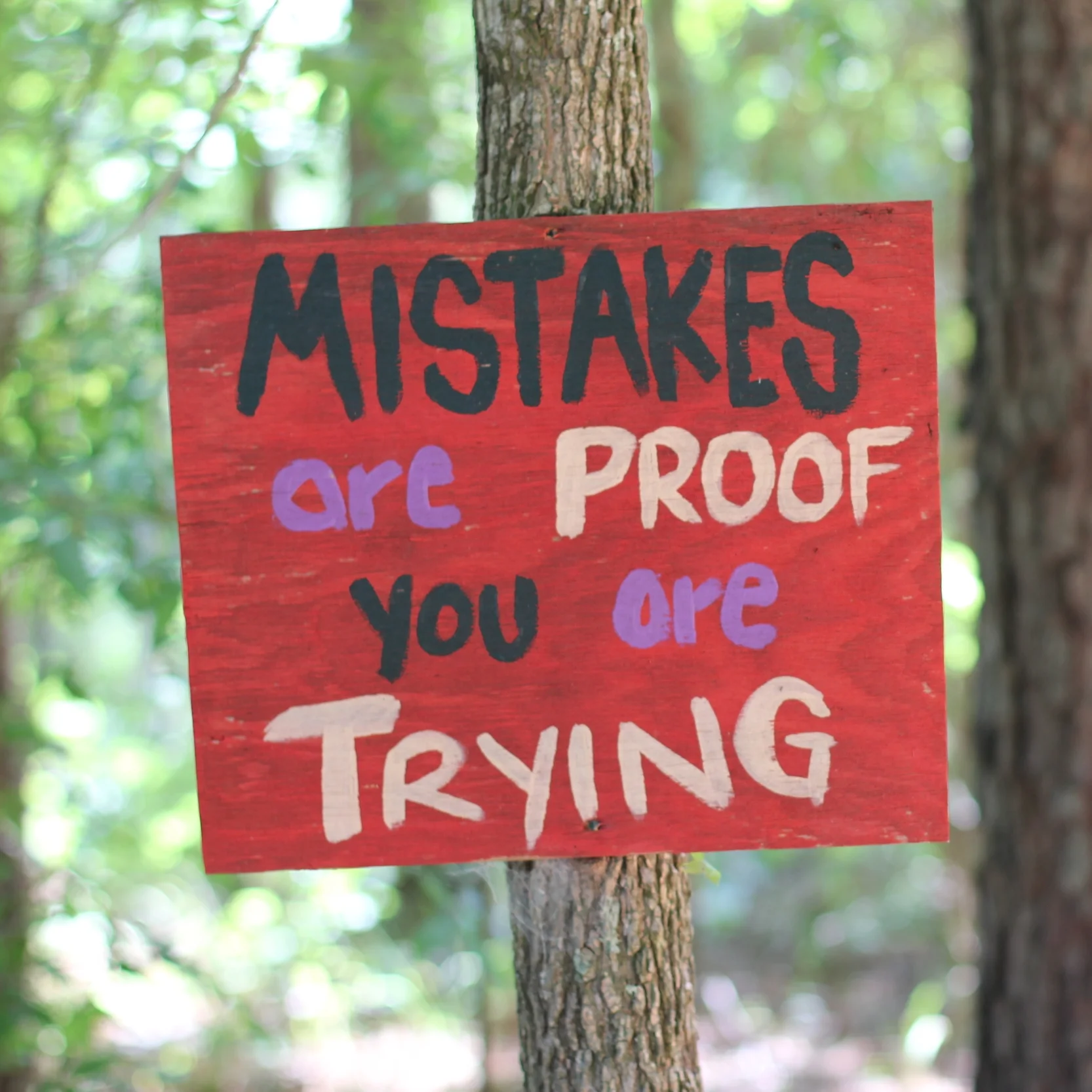 My Faith In Humanity, Restored In Two Days