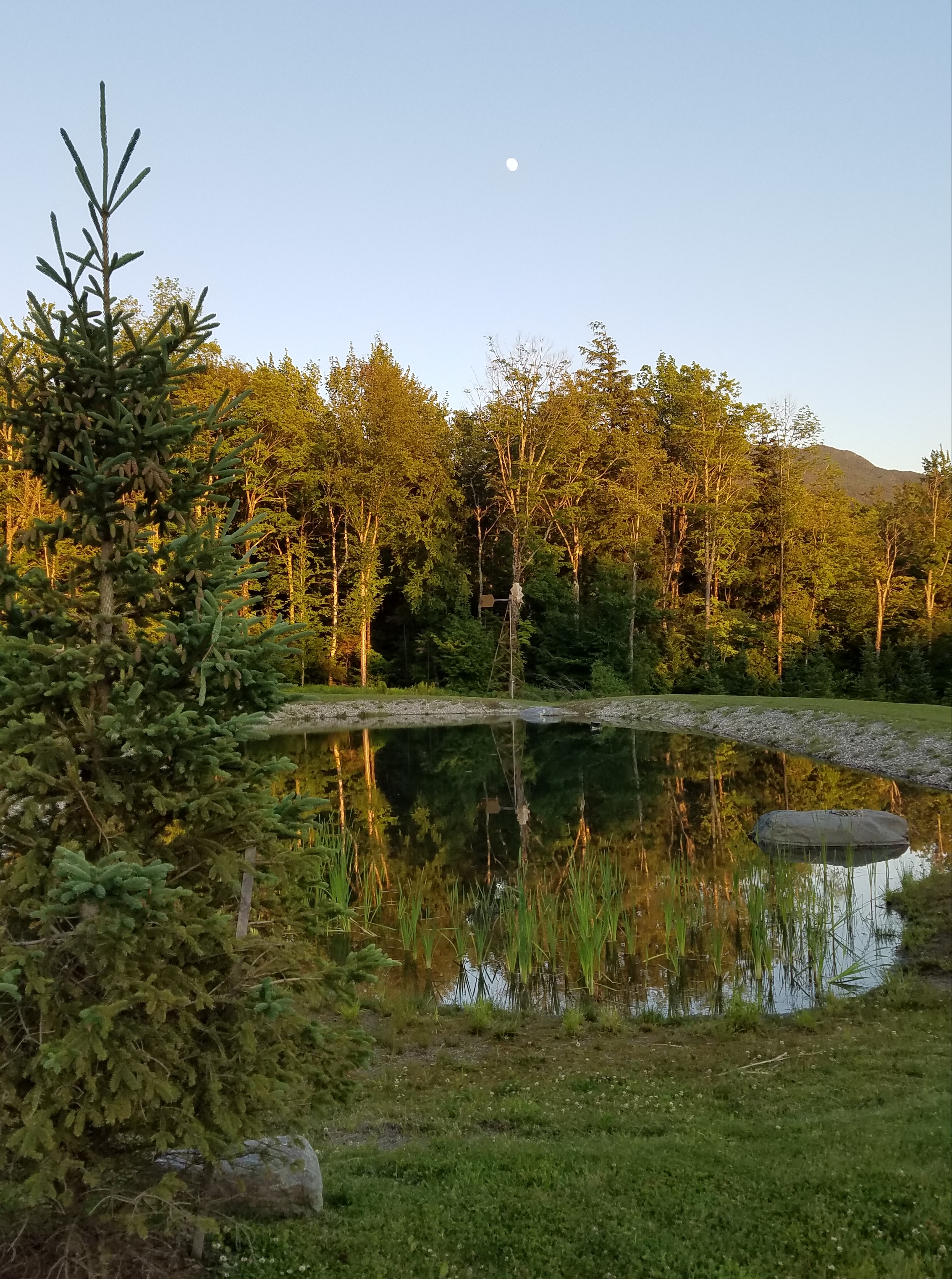 The pond/view right behind our condo