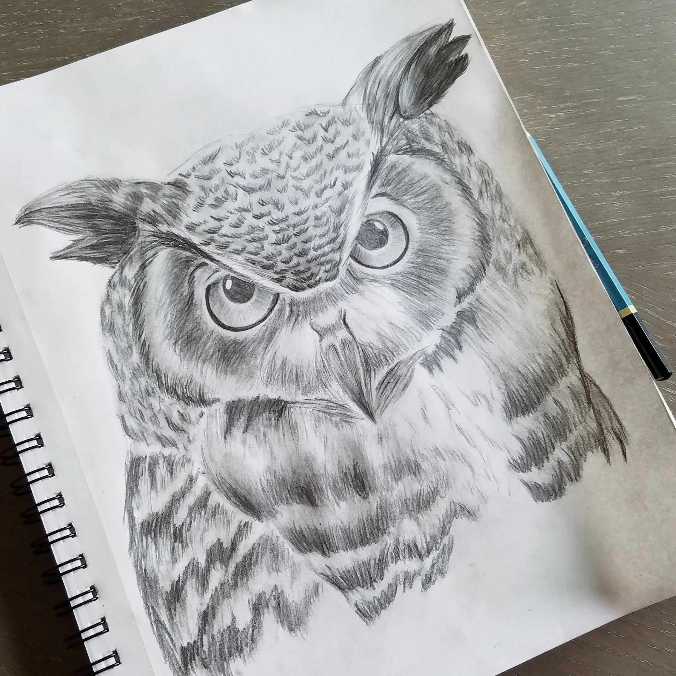owl-drawing.jpg