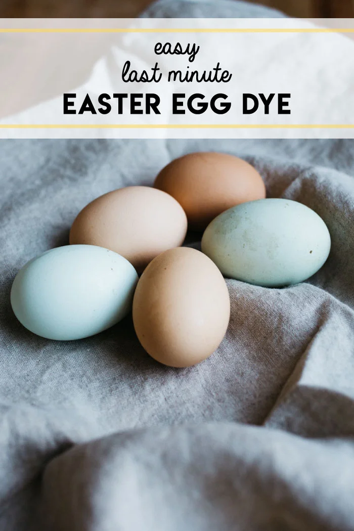 eastereggdye.jpg