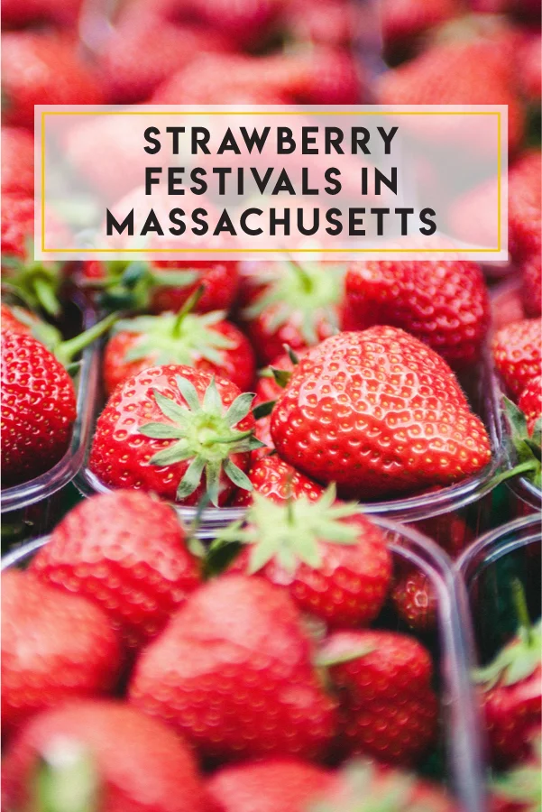 Looking for a strawberry festival in Massachusetts? June is the time!
