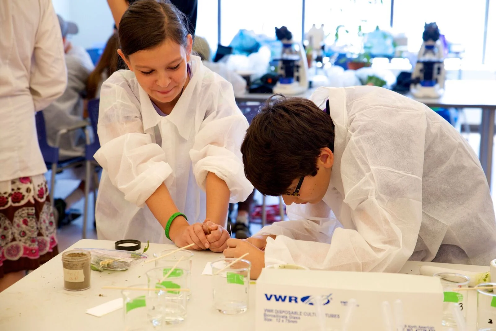 Massachusetts Nonprofit Spotlight: Science From Scientists