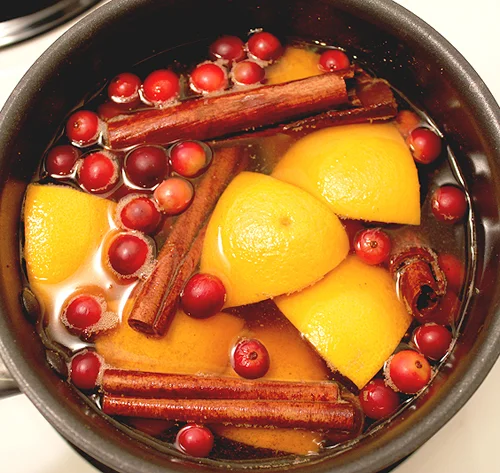Simmering stove top potpourri