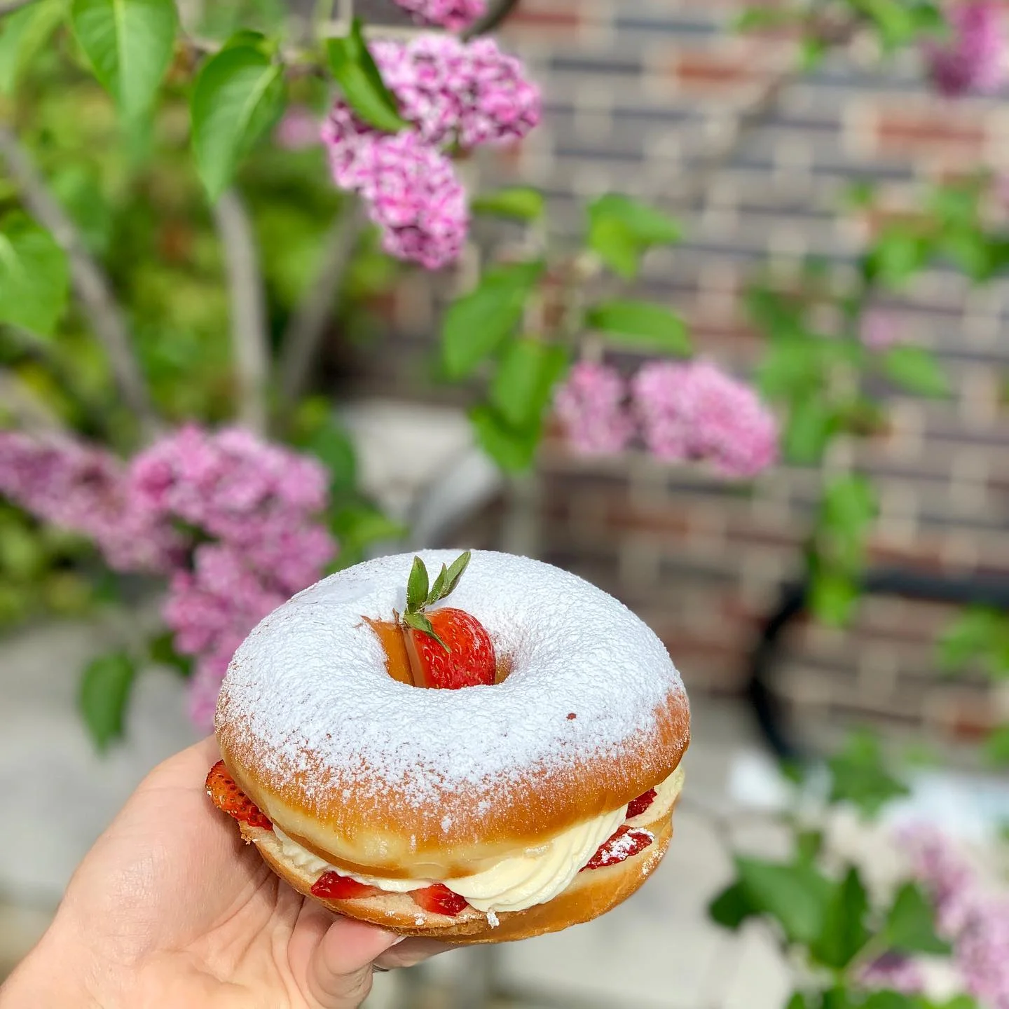 Strawberry shortcake donuts; image via Davis Square Donuts & Bagels Facebook page