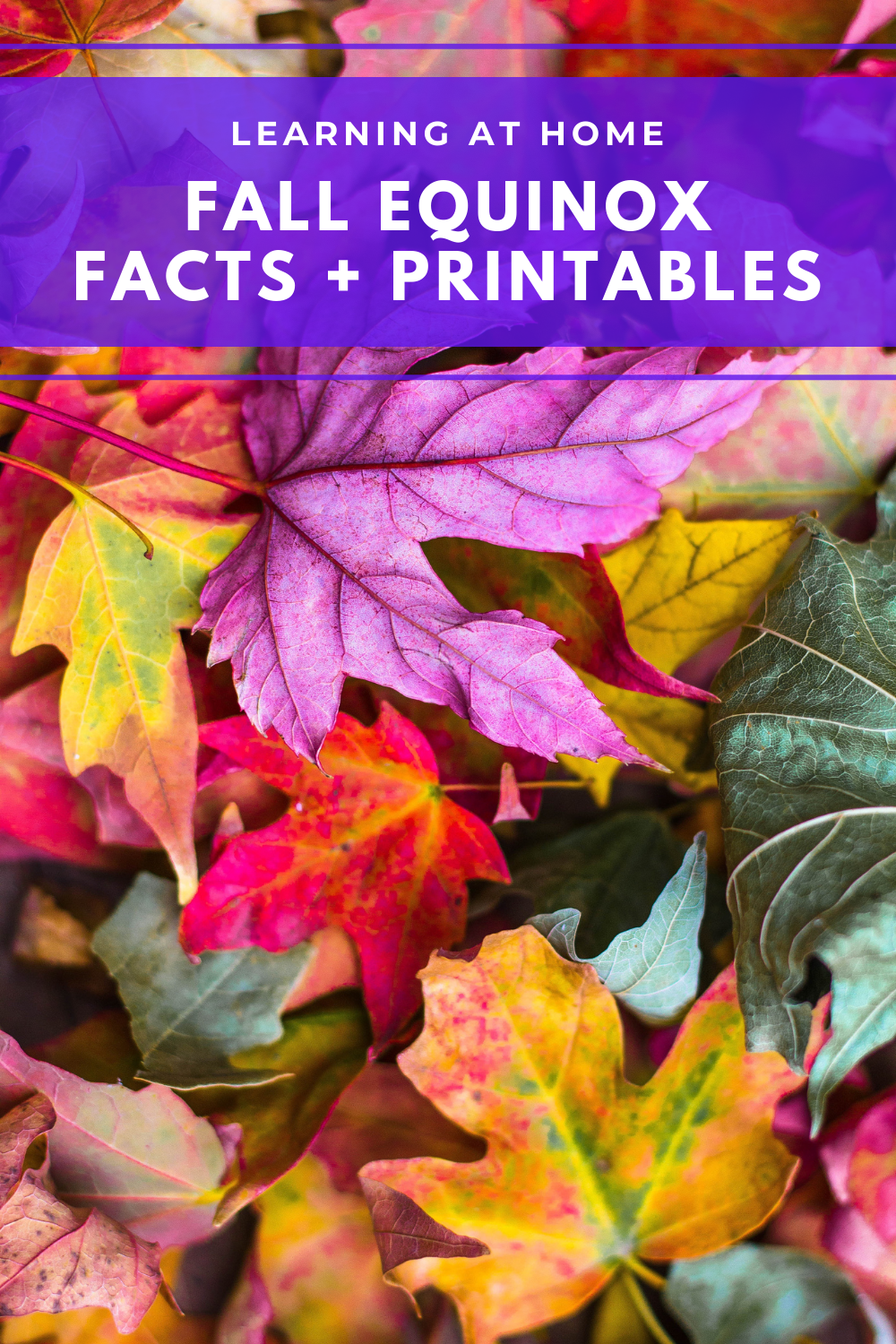 Fall Equinox: Facts + Printables — Boston Mamas