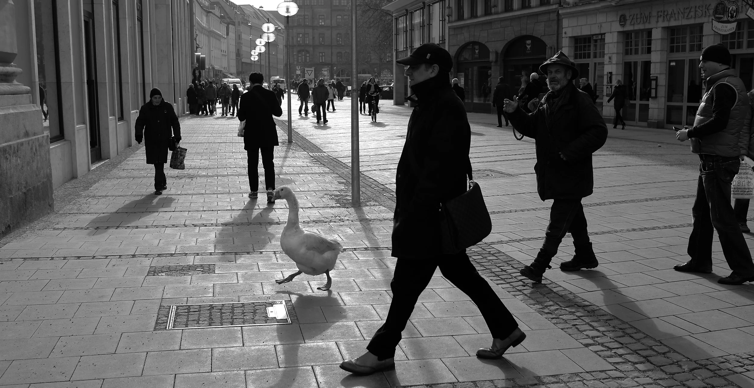 7월, Companion, Munich.JPG