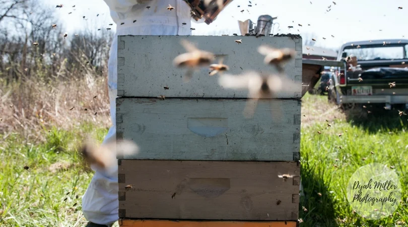 TwoHoneyBees-Blog-04.jpg