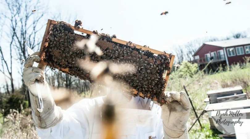 TwoHoneyBees-Blog-01.jpg