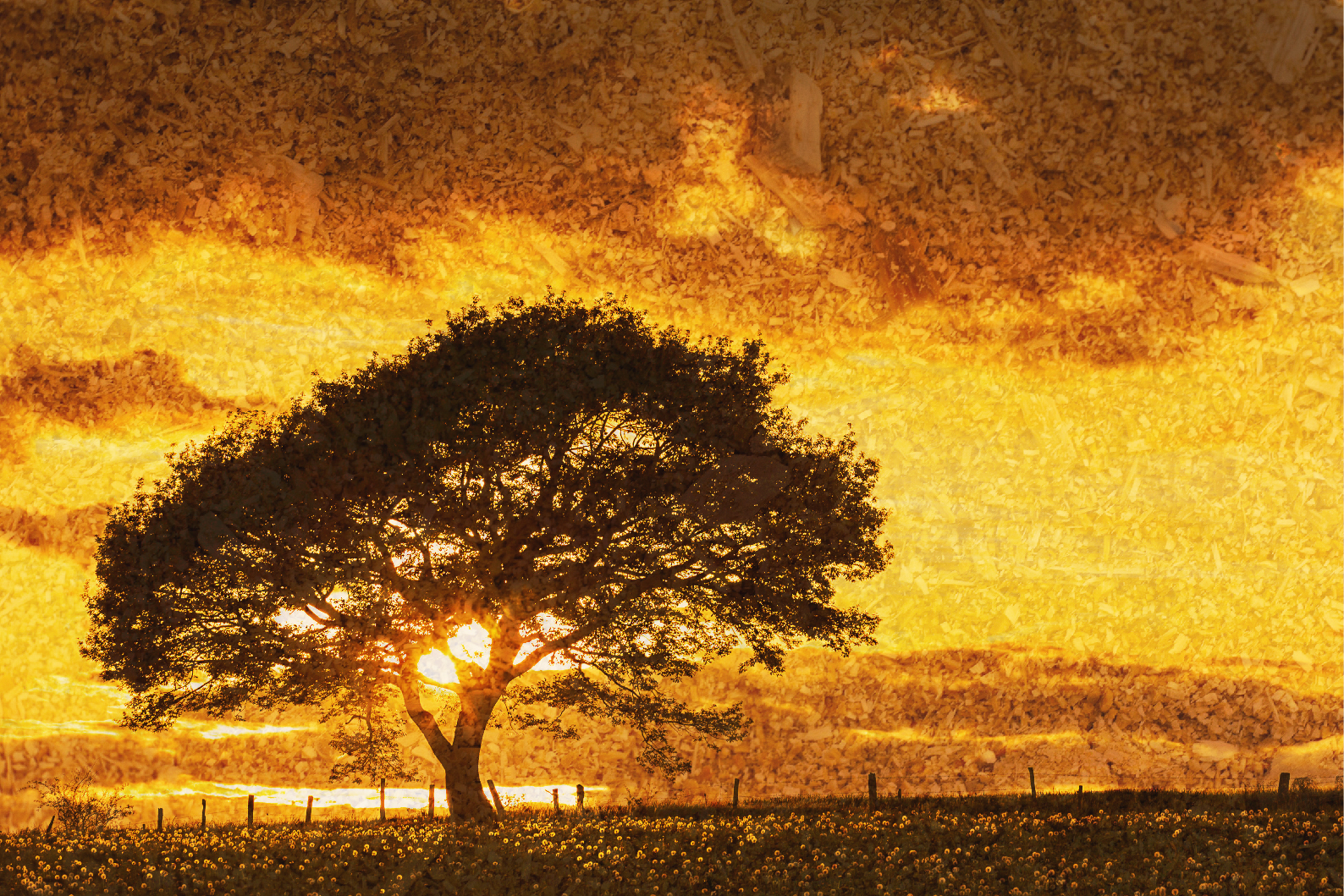 CIR066 Products Header Update.jpg