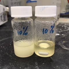 PVC in Cyrene 50°C overnight