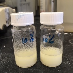 PVC in Cyrene Room temperature
