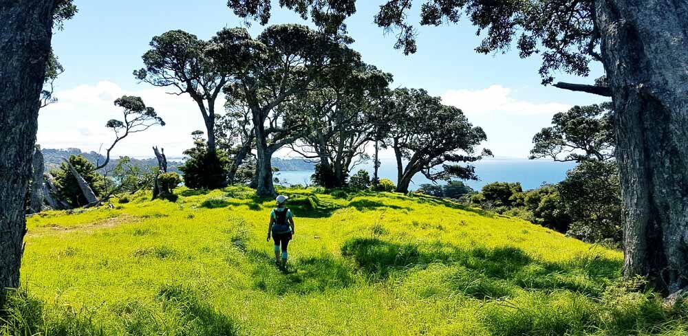 Walking through countryside Waiheke Island New Zealand