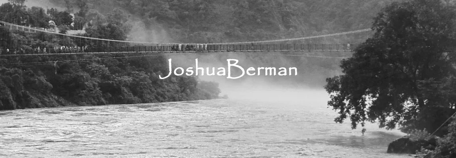 Berman-banner.jpg