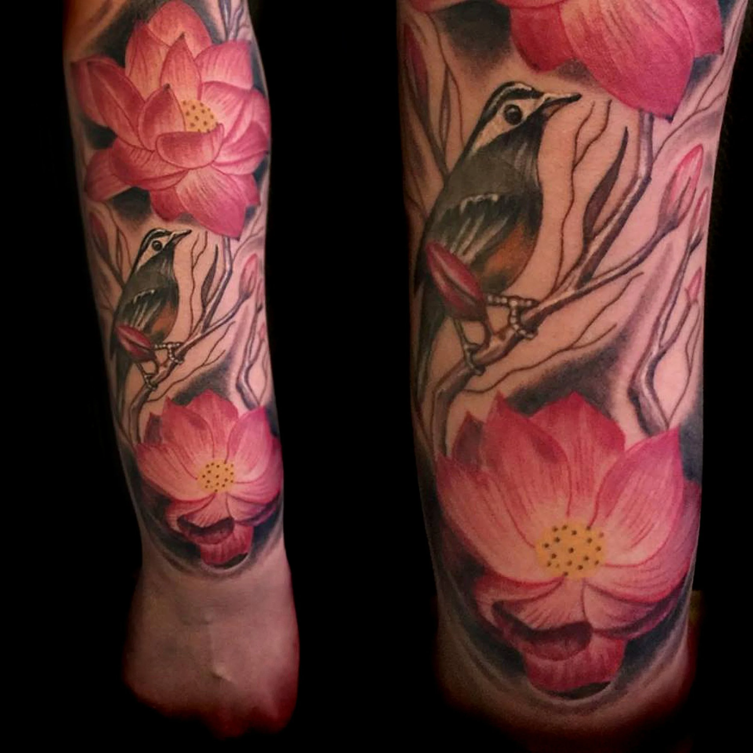 resize bird large.jpg