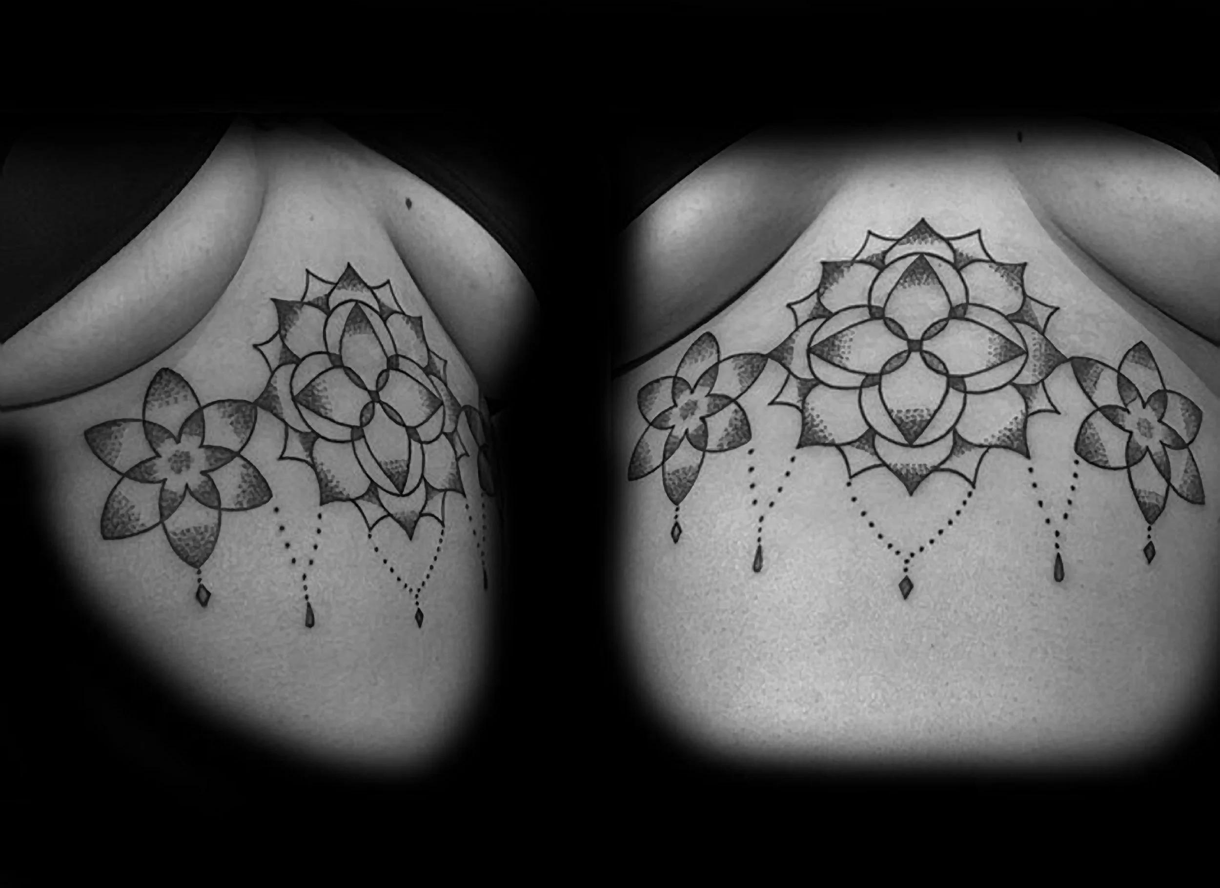 sternum.jpg