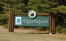 Algonquin Park,