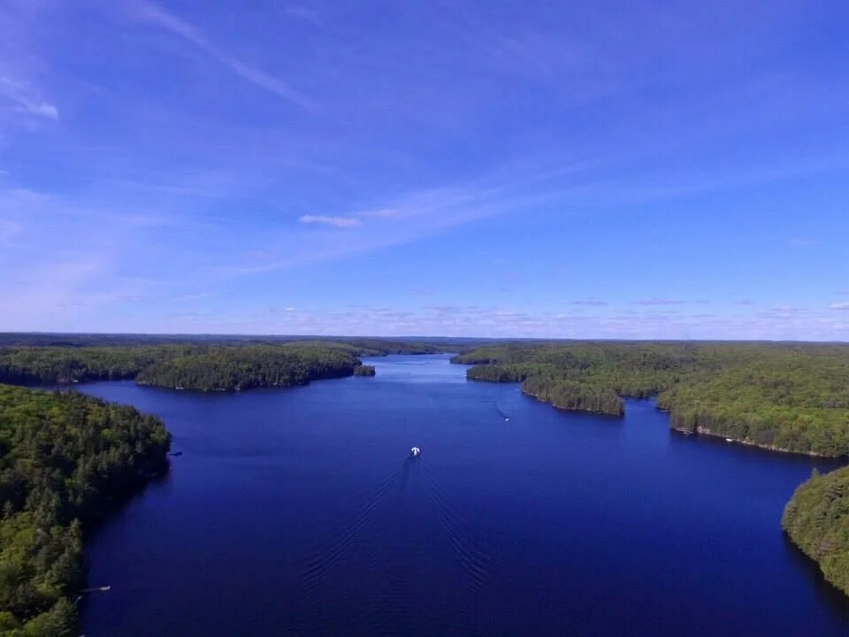 droneoflake.jpg