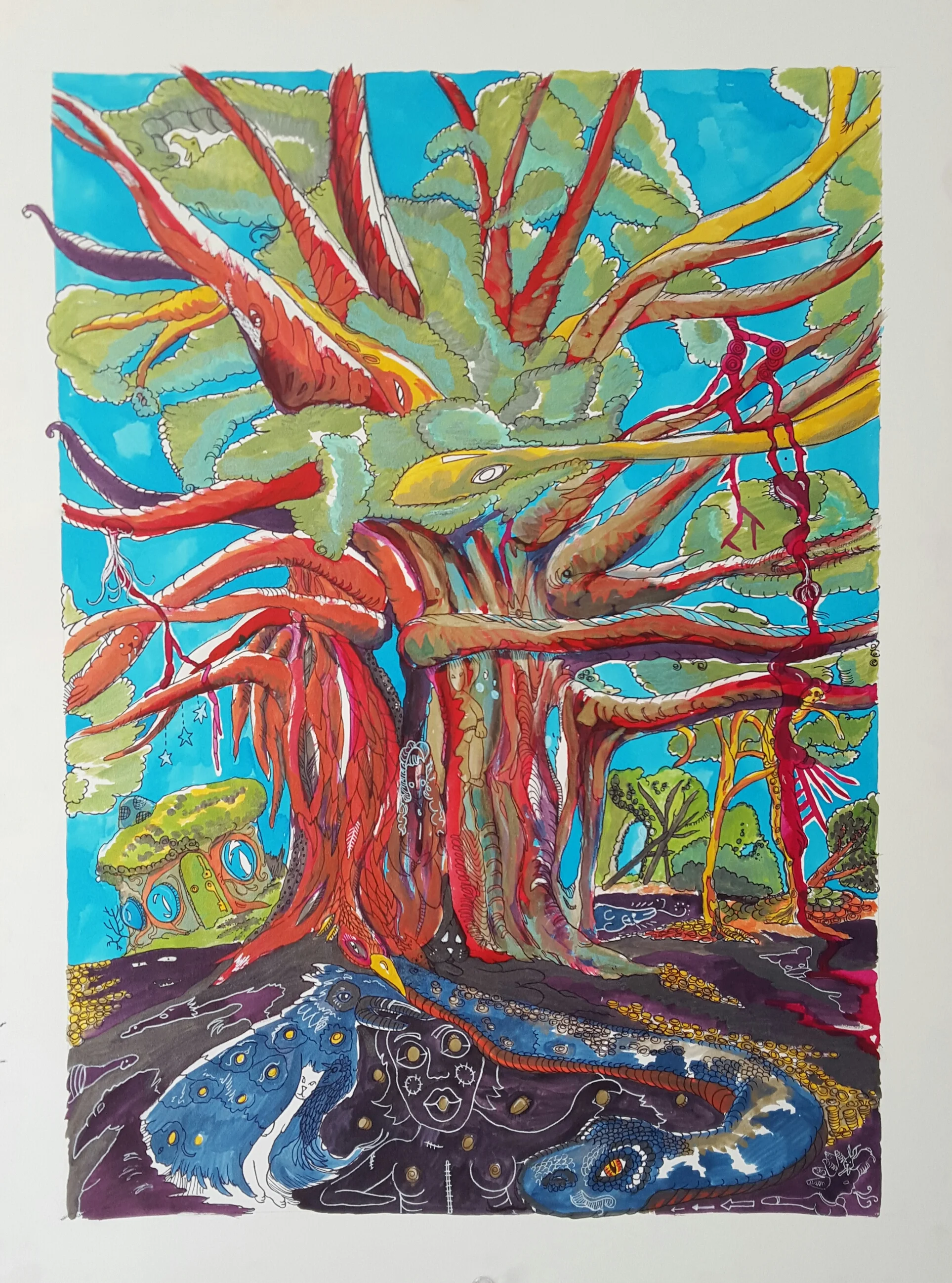 illustration.rainboweucalyptustreesnakebird.jpg