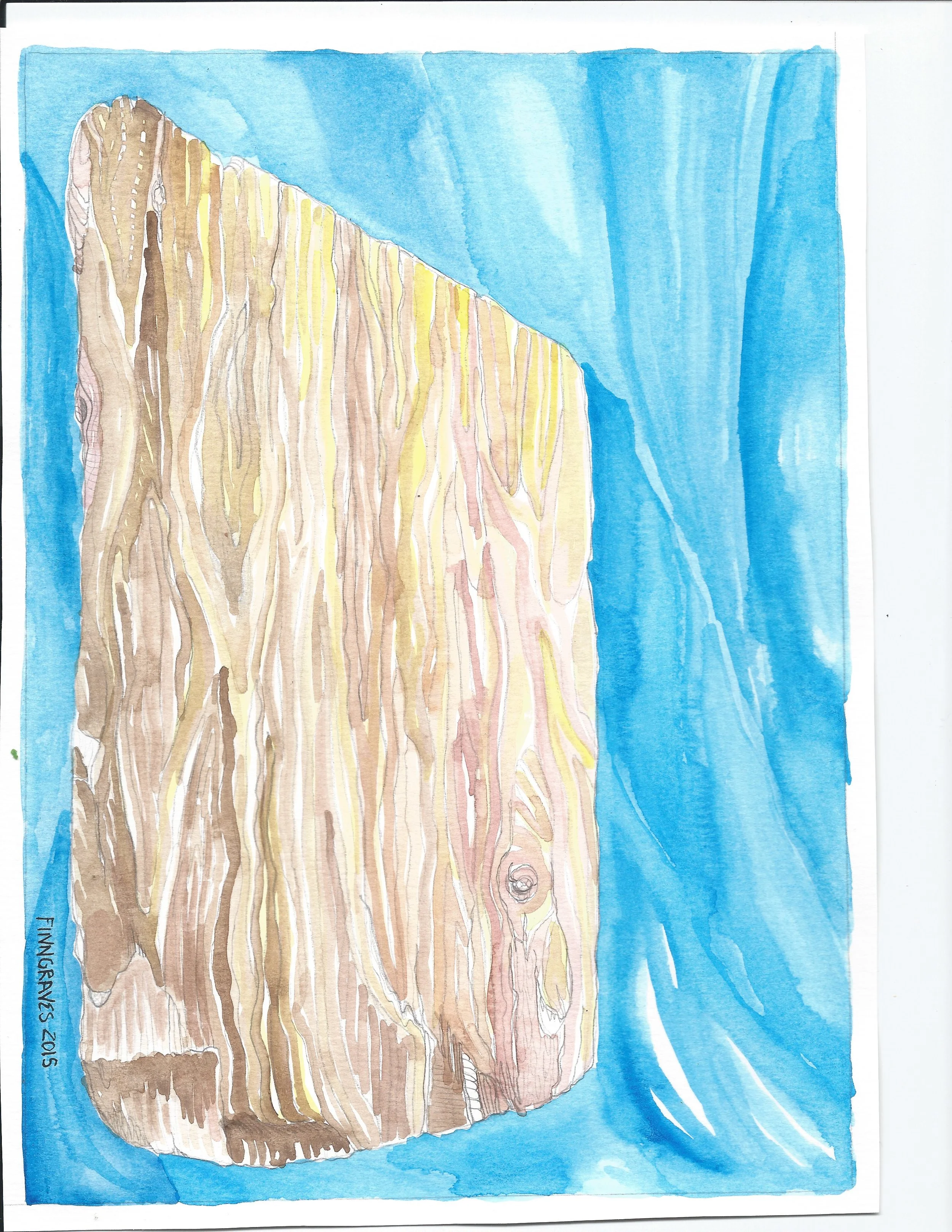 watercolordriftwood.jpeg