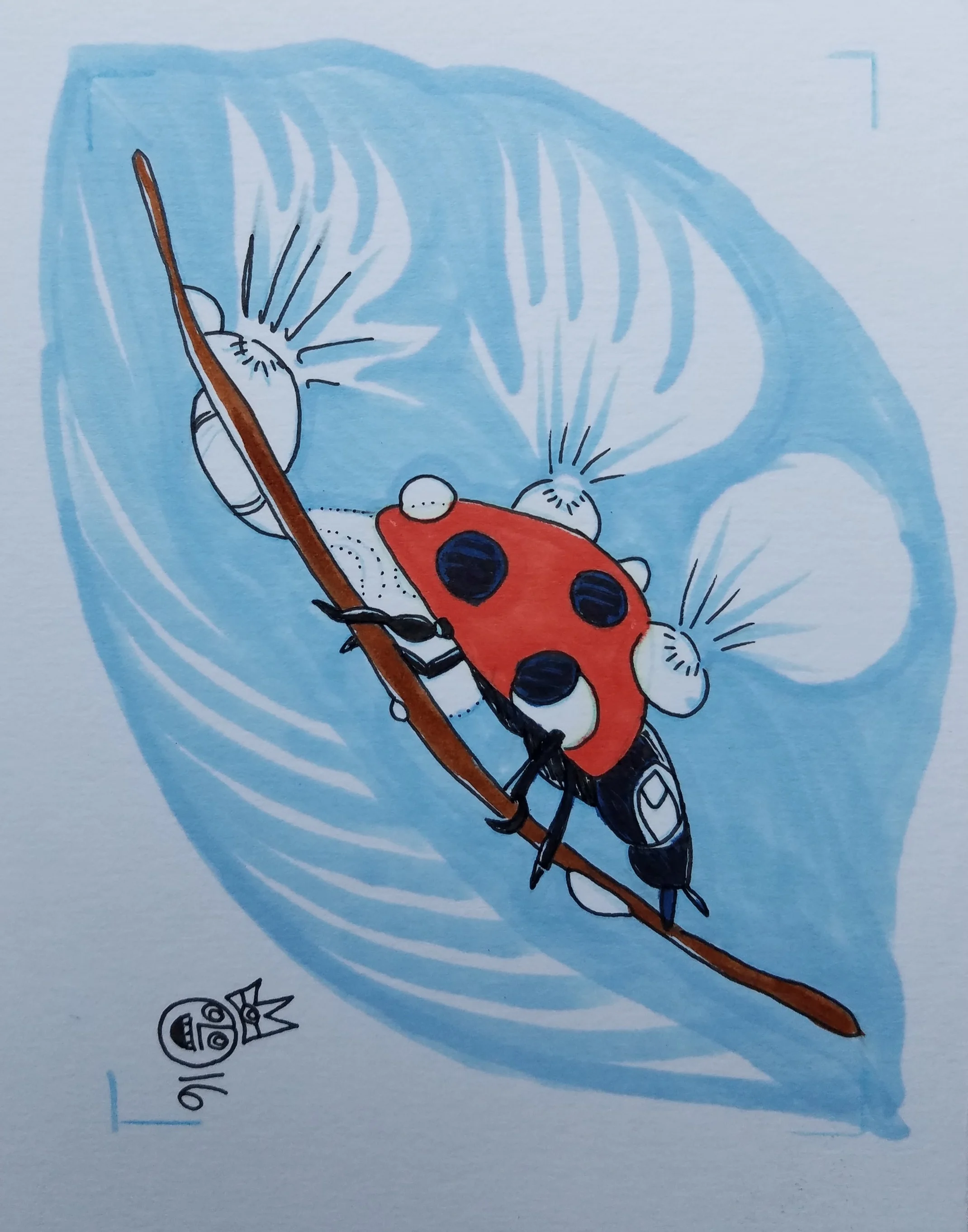 Ladybug, Marker 2016