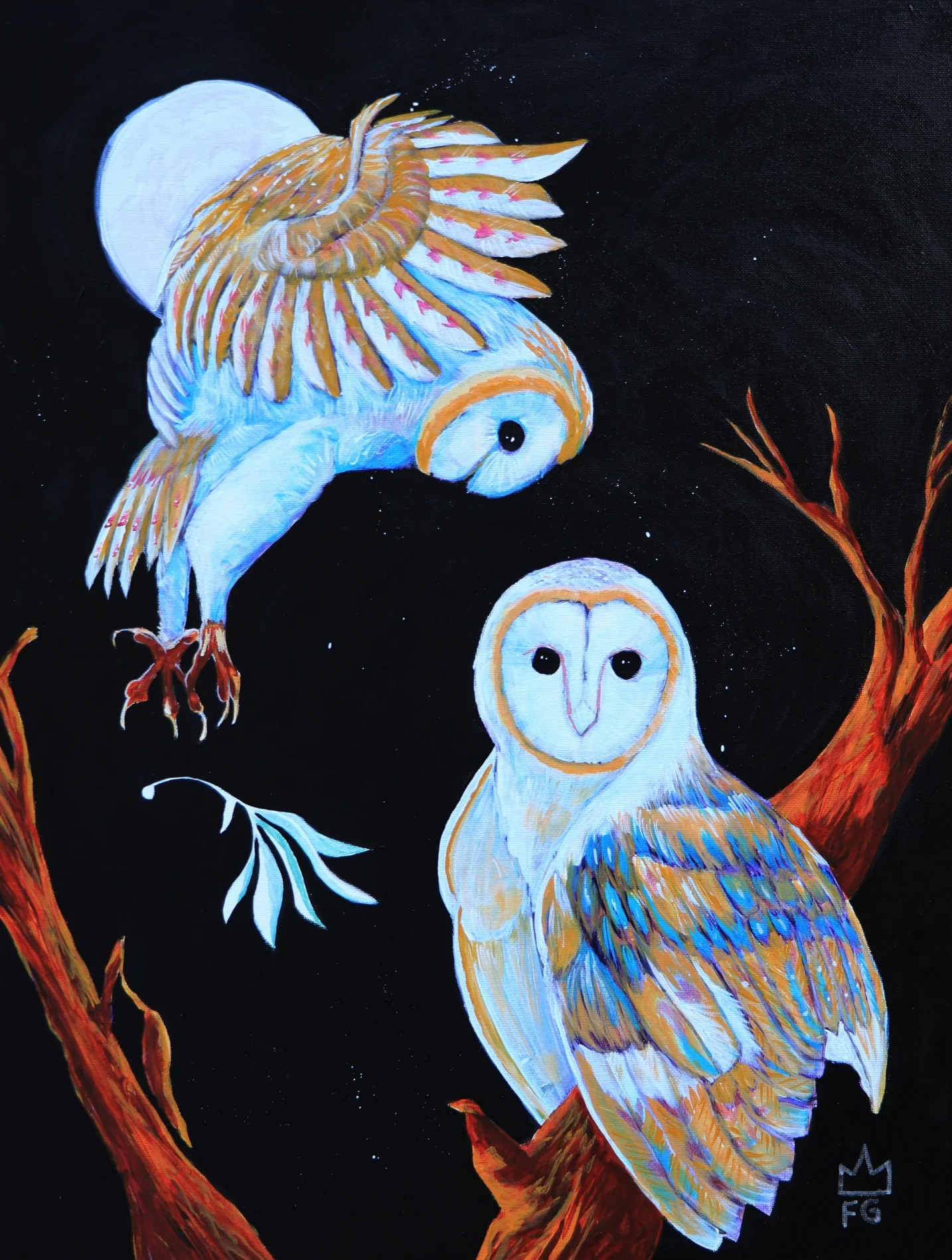 Barn Owls in Moonlight