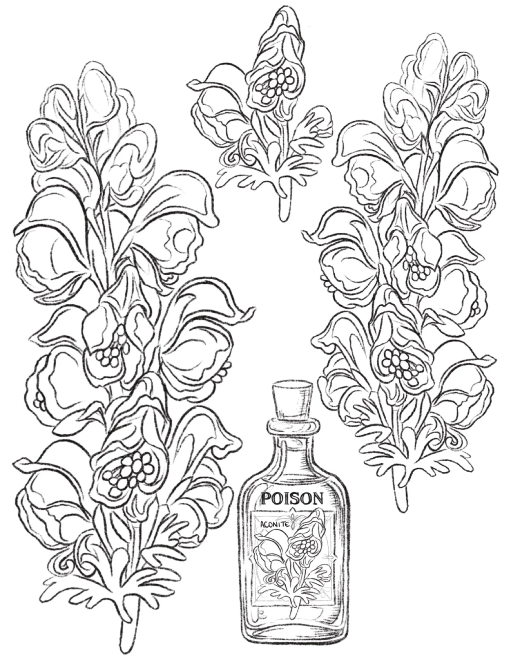 Dm to book your purple #Wolfsbane #tattoo today# For the more #traditionaltattooflash lovers, we got more #aconite #floraltattoodesign