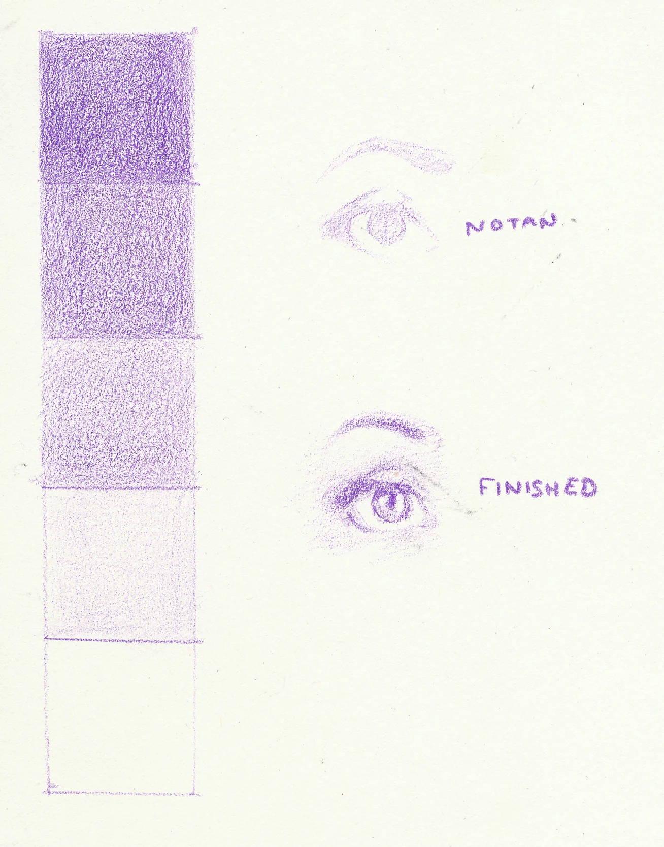 purple.jpg