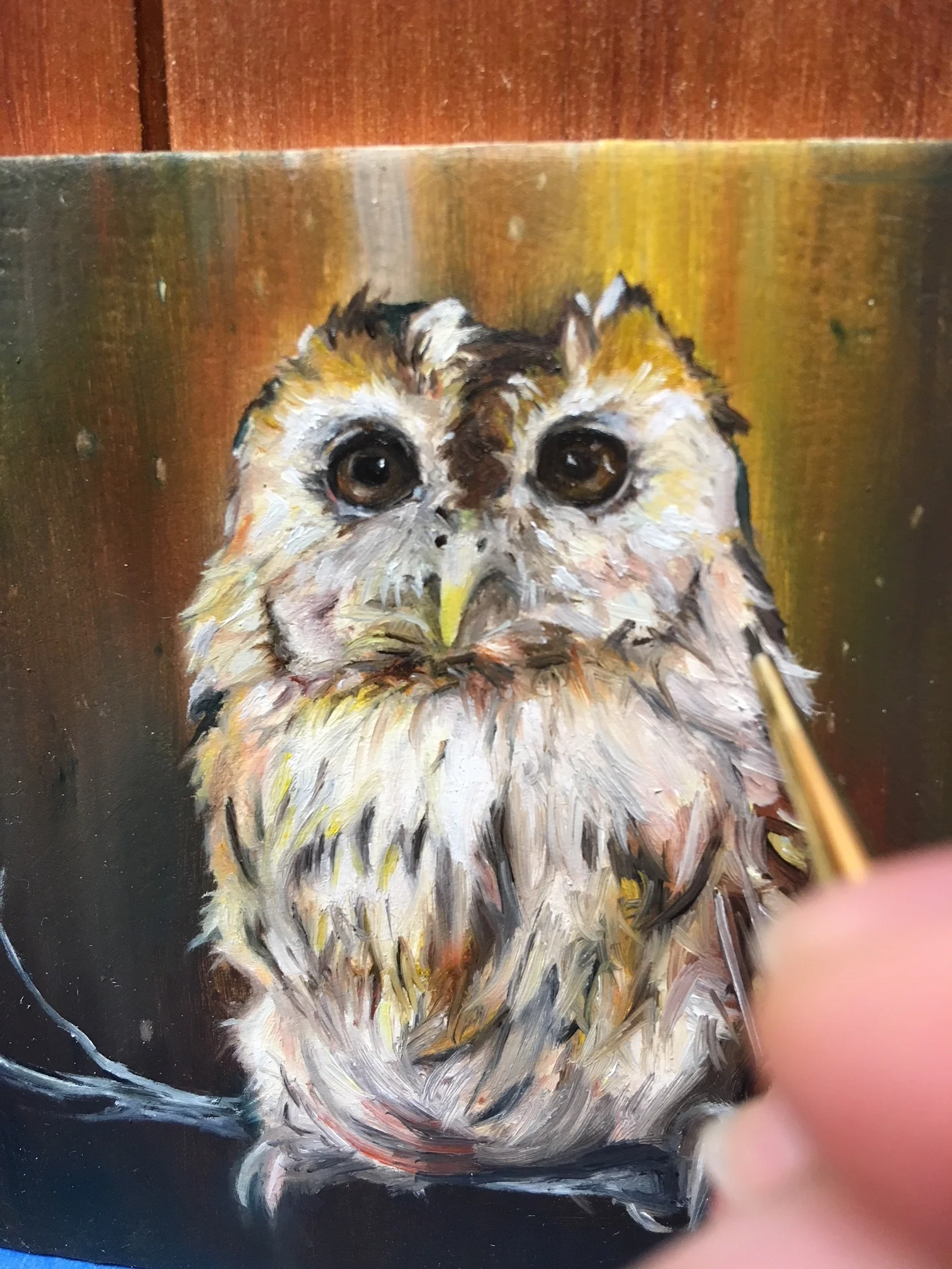 Hoot | Oil on Board | 3 x 3” Panel mounted on 4 x 4” Panel