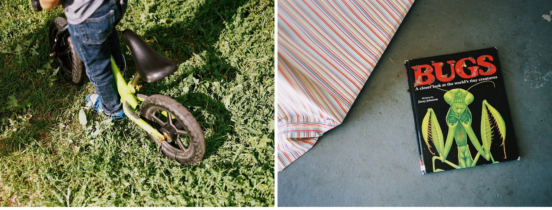 05_Bay_Area_Family_Photographer_California.jpg