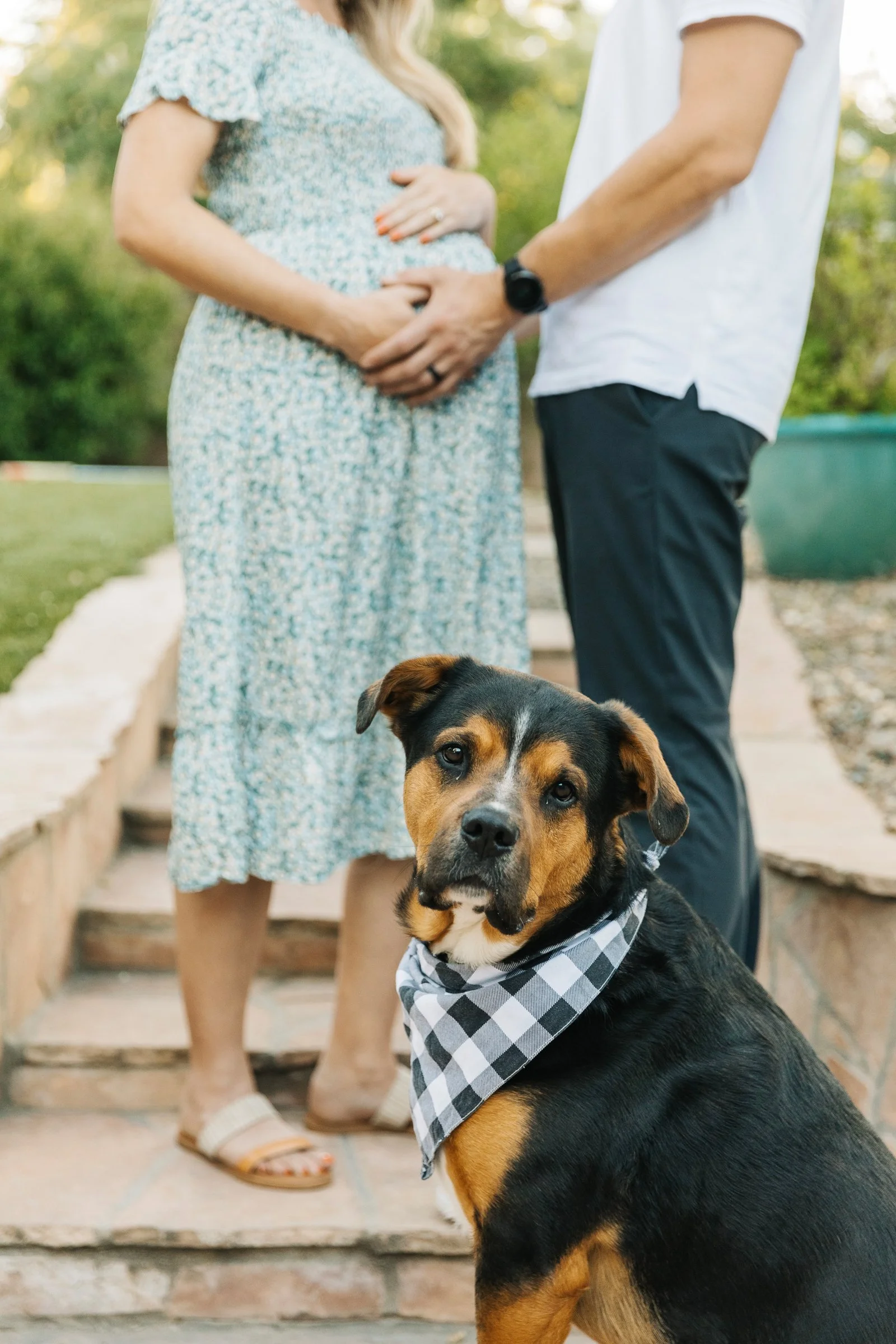 Walnut-Creek-Maternity-Photographer-066.jpg