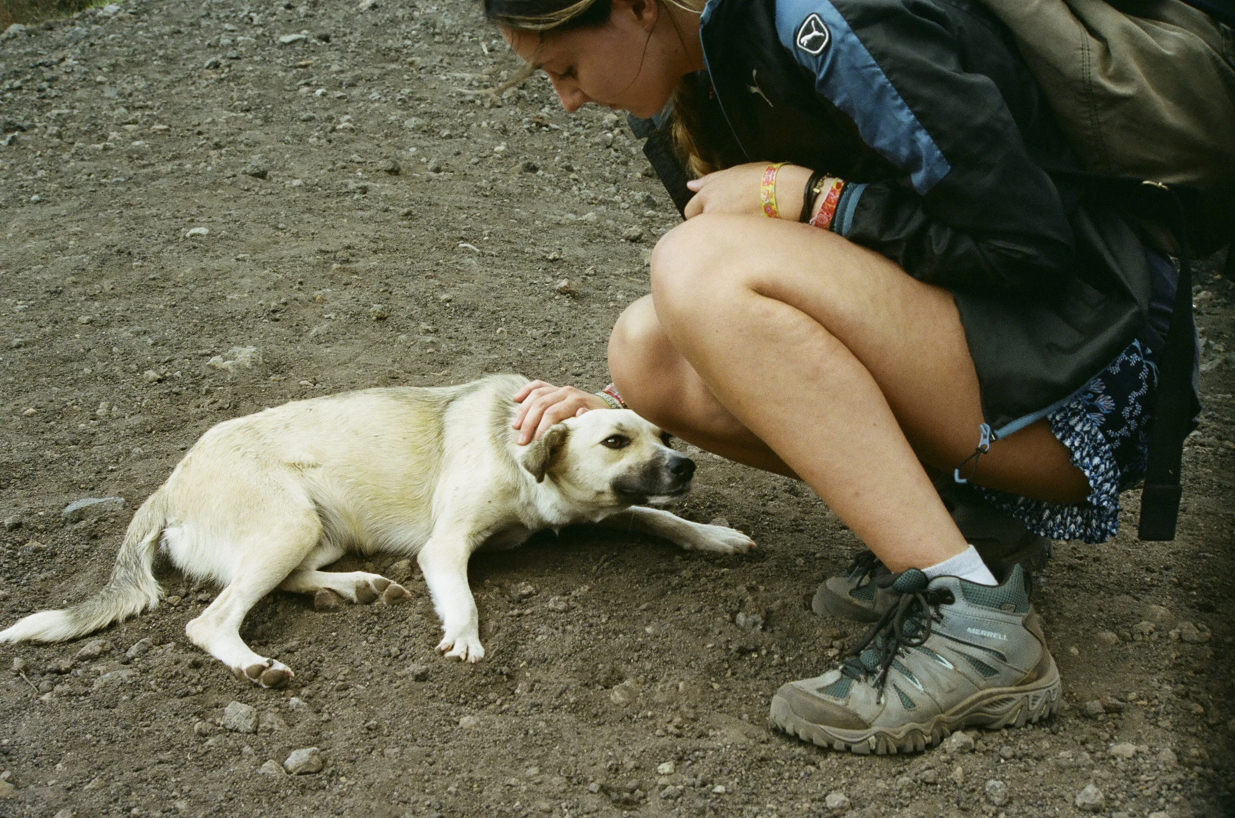 Local Pacaya pup