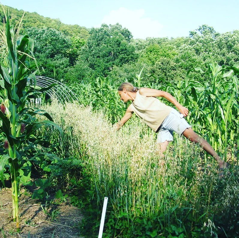 Susana Lein of Salamander Springs Farm was raised on a small diversified farm in Iowa in the 60's & 70's. She left during the farm crisis of the 80's & didn’t imagine returning to a landscape of large farms, unrecognizable to that in wh